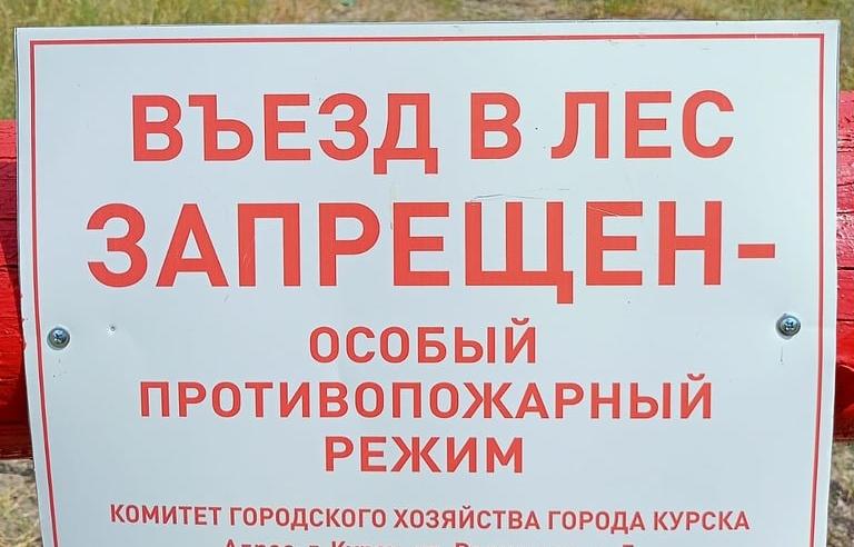 Минприроды Курской области ввело ограничения на прeбывание граждан в лесах