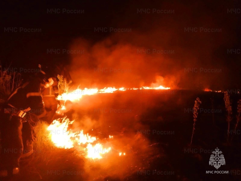 За неделю в Курской области пожарные ликвидировали 63 возгорания