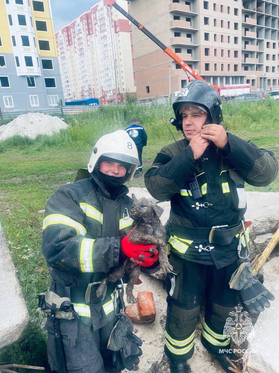 Курские пожарные спасли застрявшего под плитой щенка