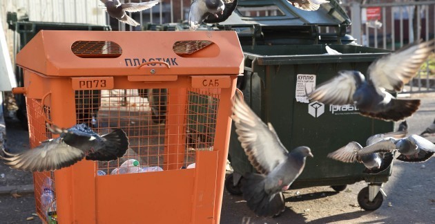 Куряне игнорируют раздельный сбор мусора