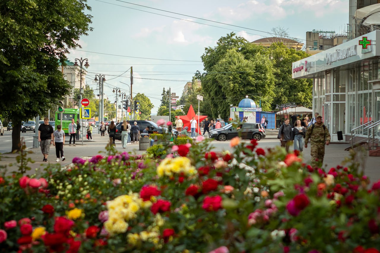 В центре Курска появилось цветочное разнообразие