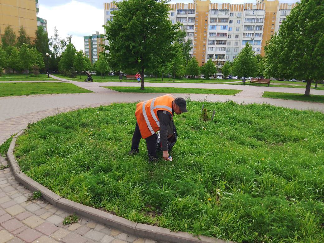 Наводят порядок в парках и зонах отдыха Курска 42 специалиста и 11 спецмашин