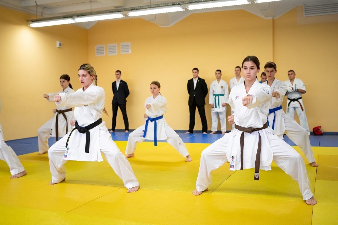 В Курске за год 50 спортсменов получили звание «Мастер спорта»