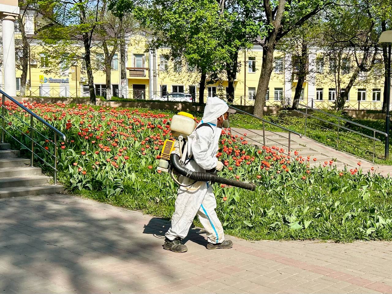 С начала сезона клещи укусили 421 юного курянина